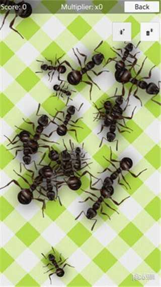 蚂蚁模拟器图4