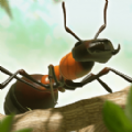 蚂蚁进化无敌版