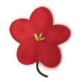 小红花习惯养成v1.1