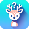 小鹿成语v2.3.0.2